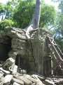 1729_Ta_Prohm