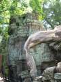 1732_Ta_Prohm