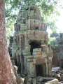 1735_Ta_Prohm