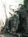 1736_Ta_Prohm