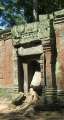 1737_Ta_Prohm