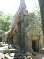 1739_Ta_Prohm