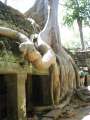 1743_Ta_Prohm