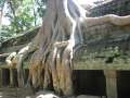 1744_Ta_Prohm