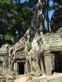 1747_Tomb_Raider