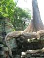 1751_Ta_Prohm
