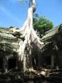 1753_Ta_Prohm