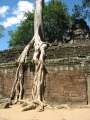 1759_Ta_Prohm