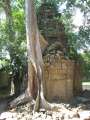 1760_Ta_Prohm