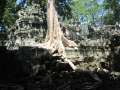 1762_Ta_Prohm