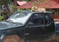 1991_Car_dog