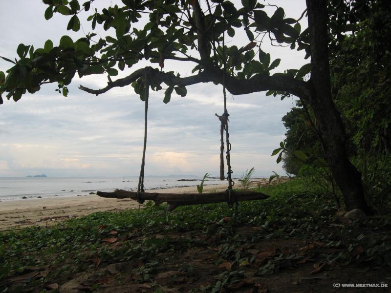 2006