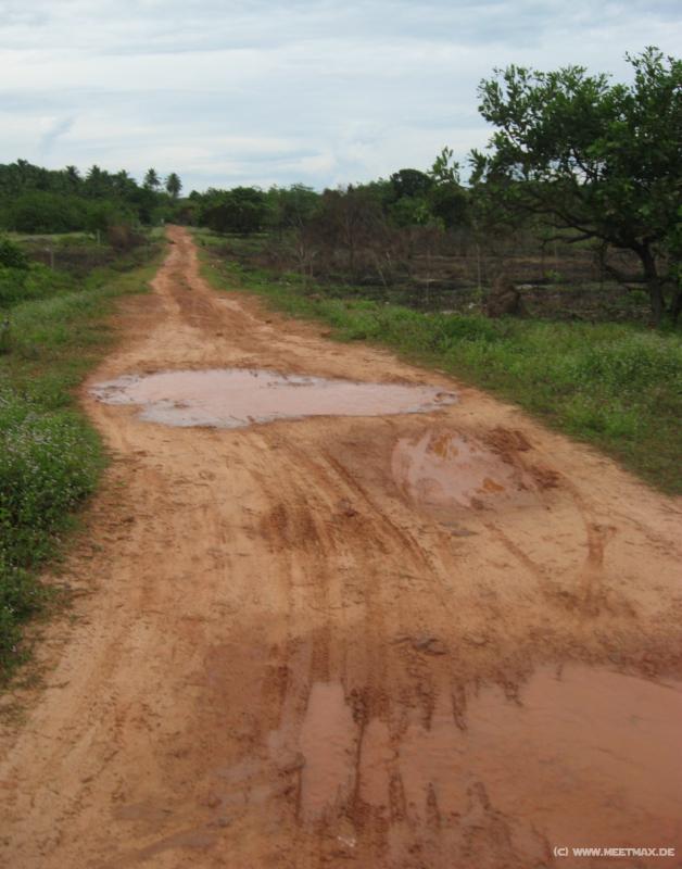 2007