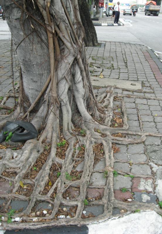 2102_Square_roots