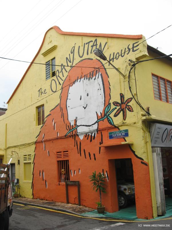 2247_Orang_Utan_house