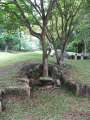 2260_Bukit_China