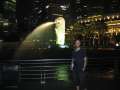 2322_Markus_Merlion