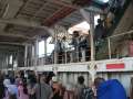 2383_In_the_ferry