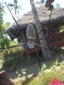 0005_Spider