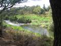 6787_Riverside_Caravan_Park