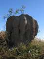 6816_Termite_hill