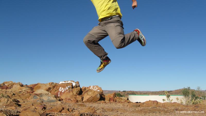 2195_Flying