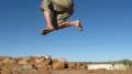 2197_Flying
