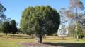 2323_Picnic_Point