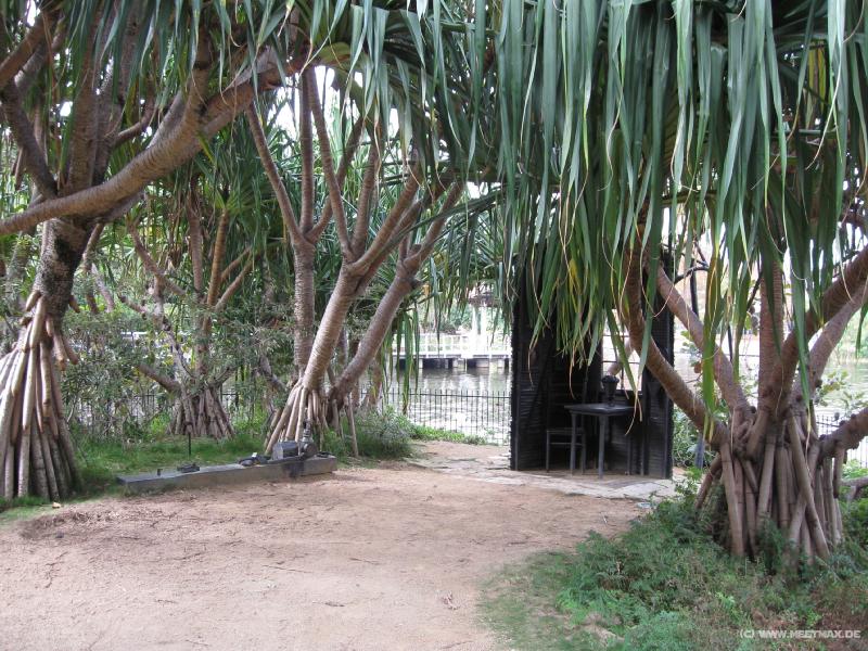 2373_Roma_Street_Parkland