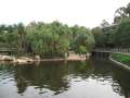 2372_Roma_Street_Parkland