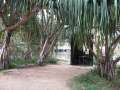 2373_Roma_Street_Parkland