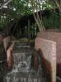 2374_Roma_Street_Parkland