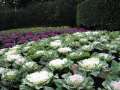 2383_Roma_Street_Parkland_vegetables