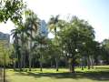 2408_Botanic_Gardens