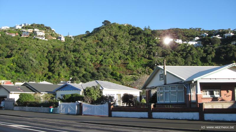 2990_Lyall_Bay