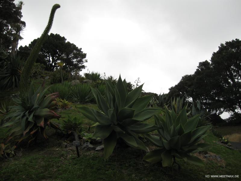 3035
