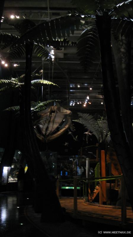 3062_Te_Papa
