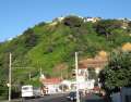 2989_Lyall_Bay