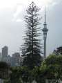 3279_SkyTower