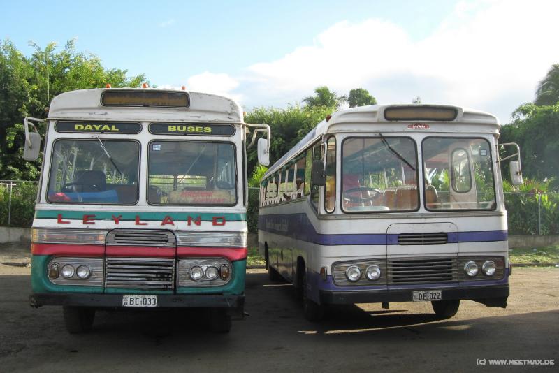 3466_Buses