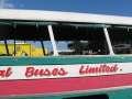 3465_Open_air_bus