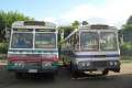 3466_Buses