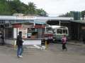 3474_Sigatoka