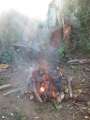 3528_Lovo_fire