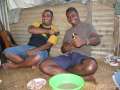 3532_Kava_friends