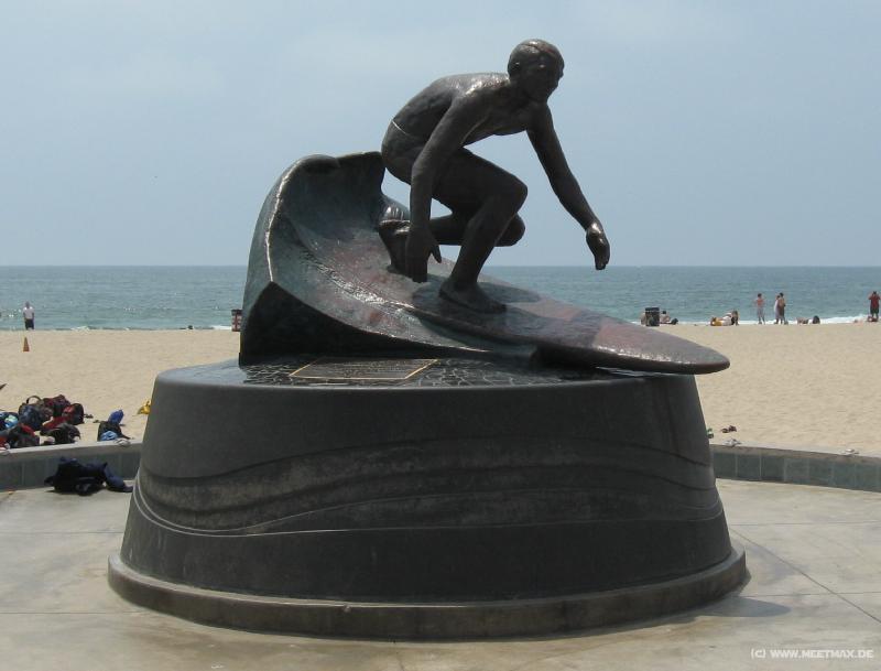 3585_Surfer