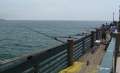 3593_Fishing_pier
