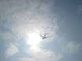 3613_Plane