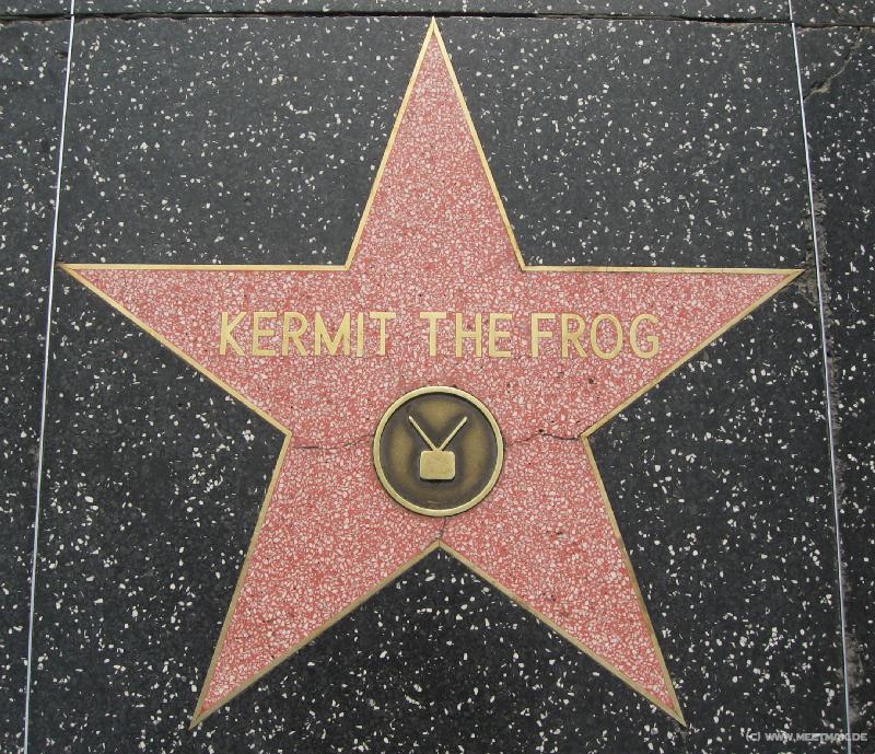 3714_Walk_of_Fame_-_Kermit