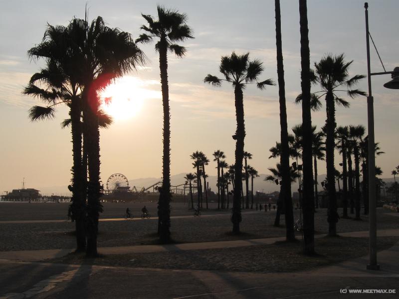 3758_Venice_beach